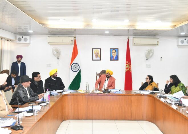 CM announces major developmental push to Industrial City Ludhiana